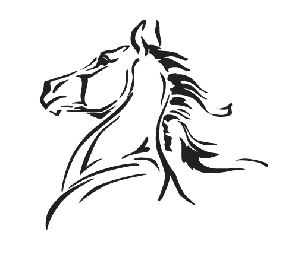 portrait cheval 1