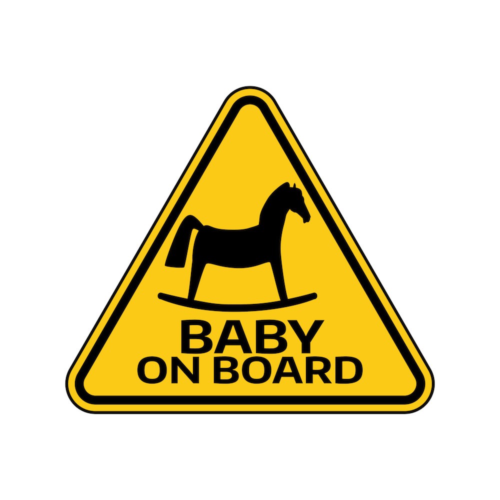 Horse on board