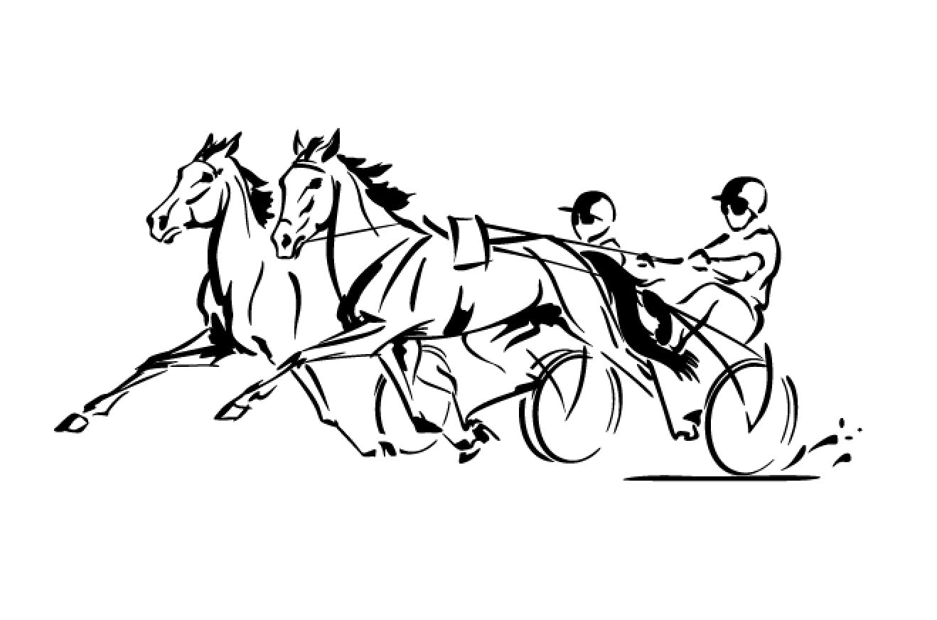 chevaux de course 8
