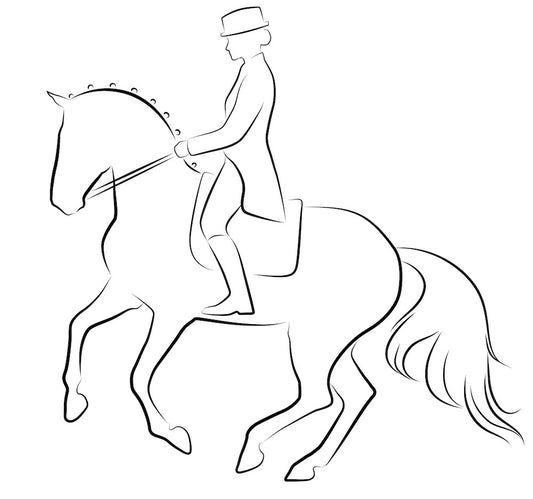 cavalier de dressage