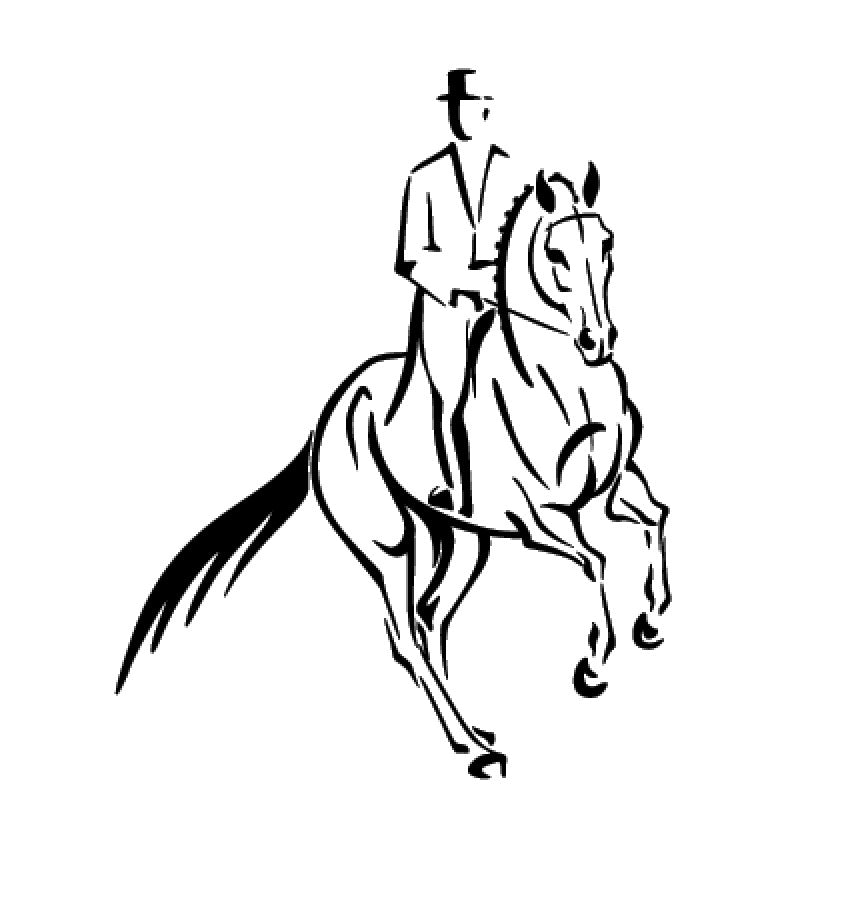 dressage 3