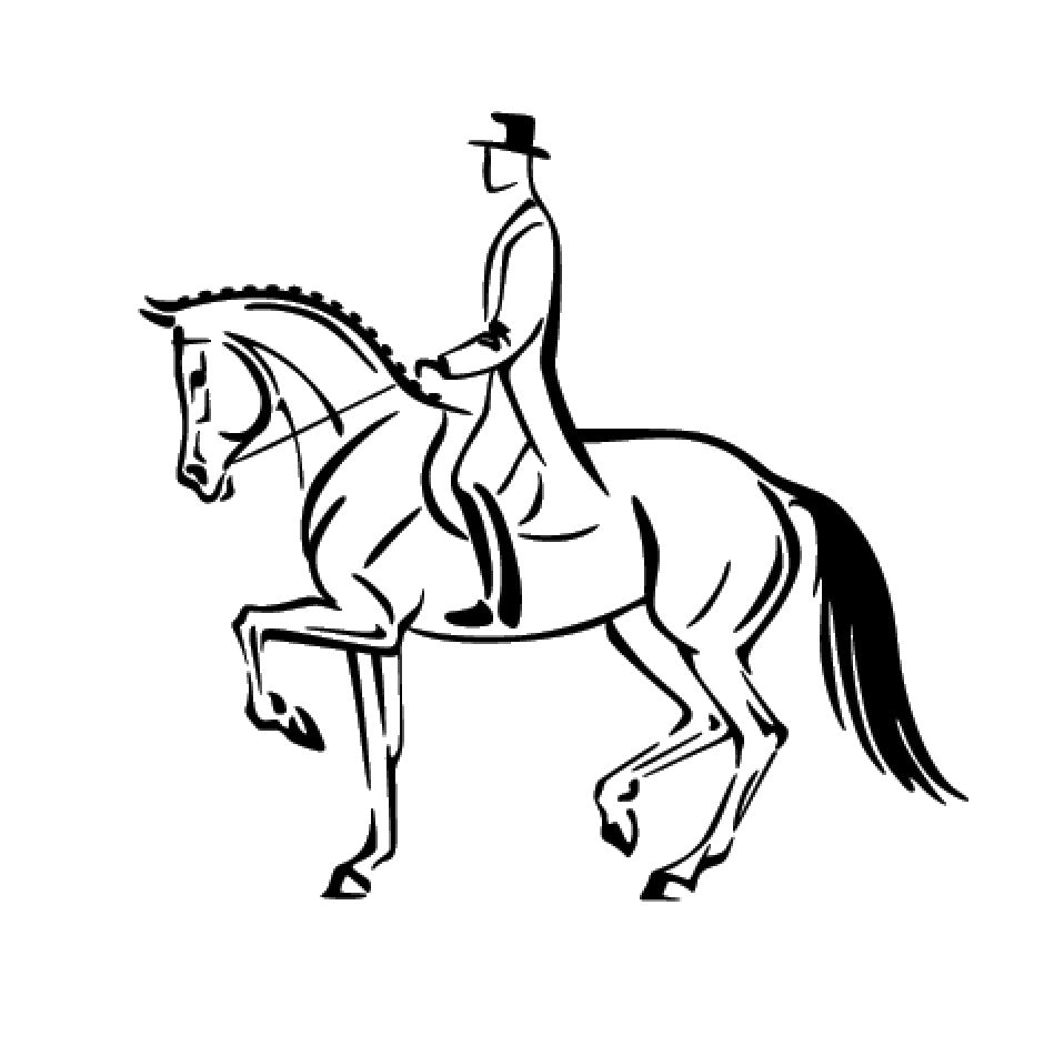 cavalier de dressage 2