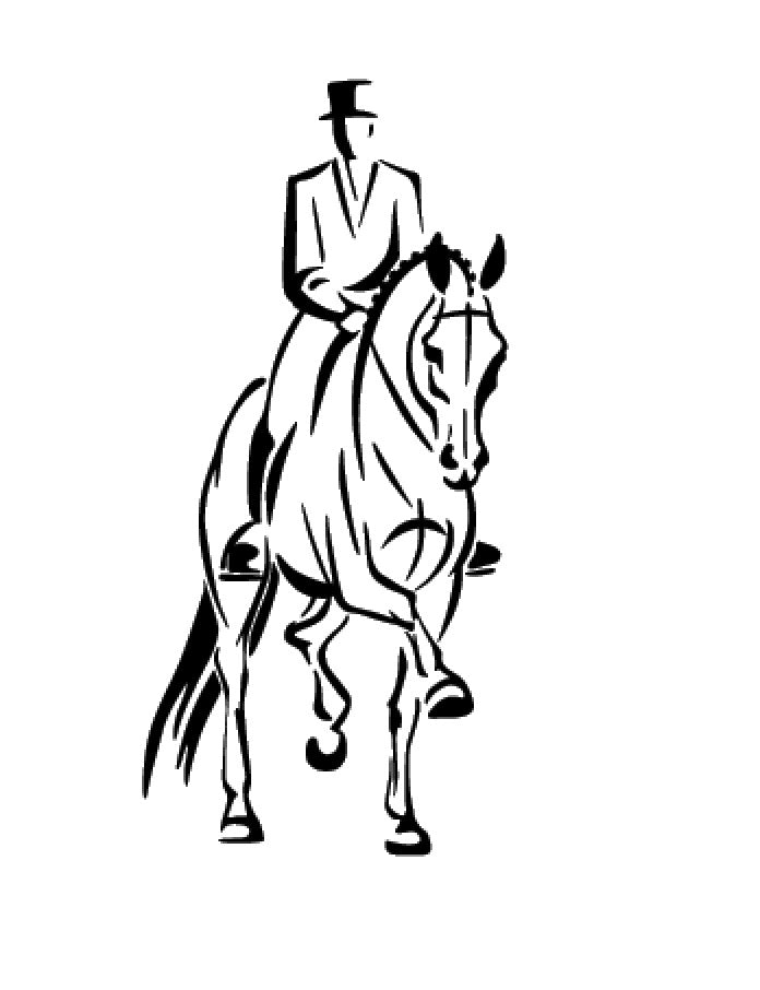 cavalier de dressage 3