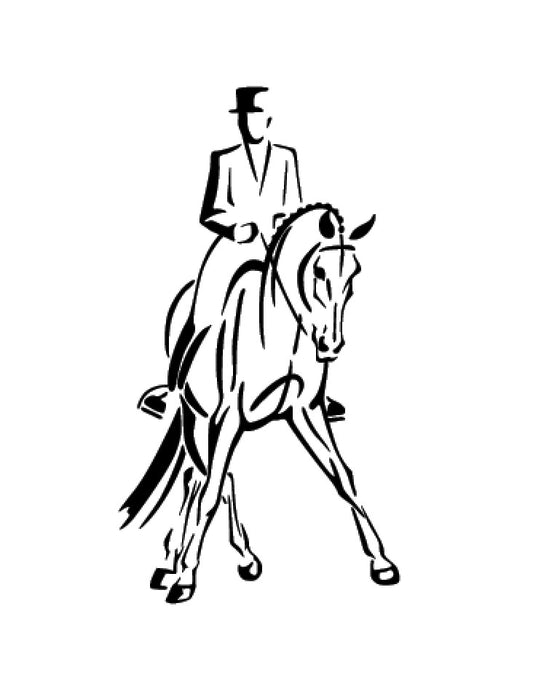 cavalier de dressage 4