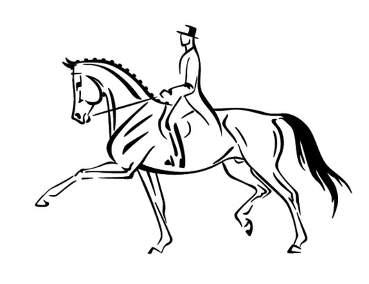 cavalier de dressage 5