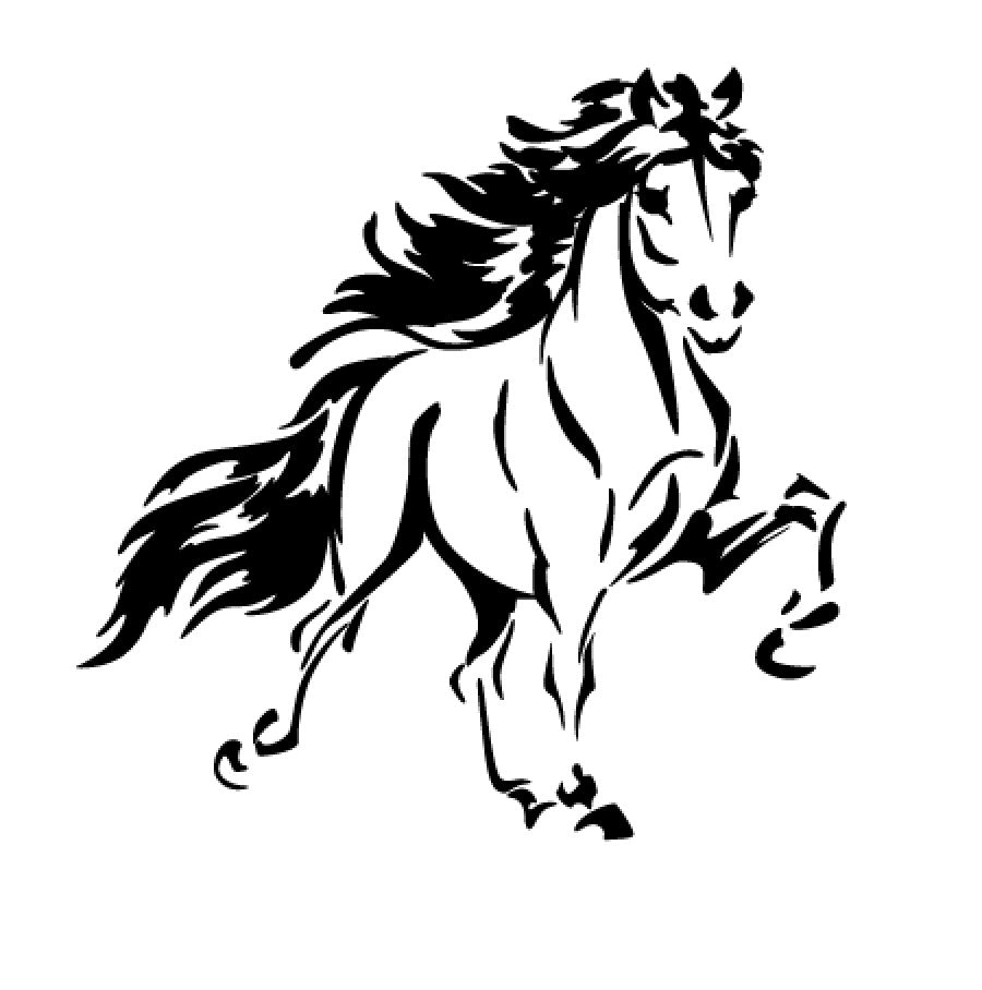 poney 2