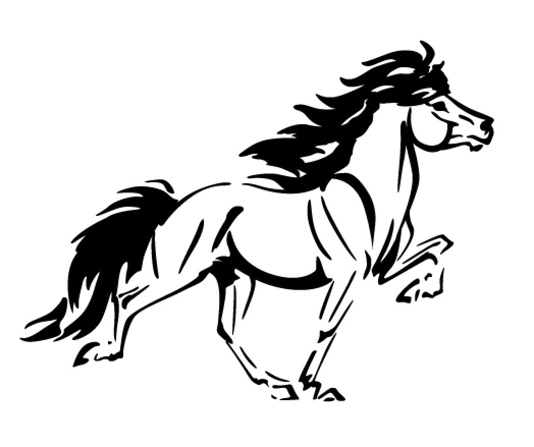poney islandais