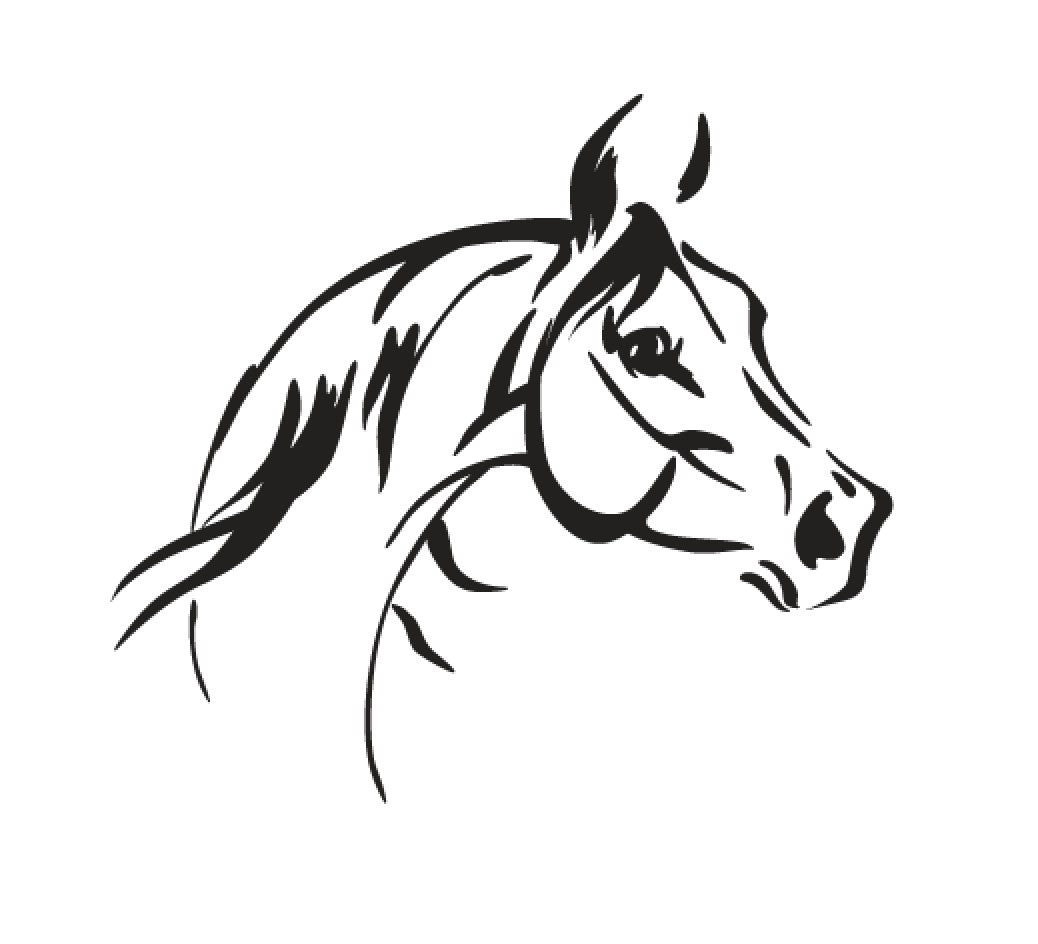portrait cheval 2