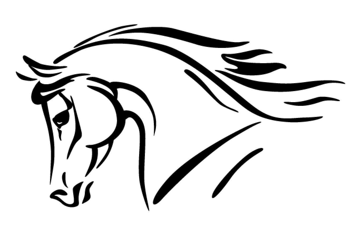 portrait cheval 3