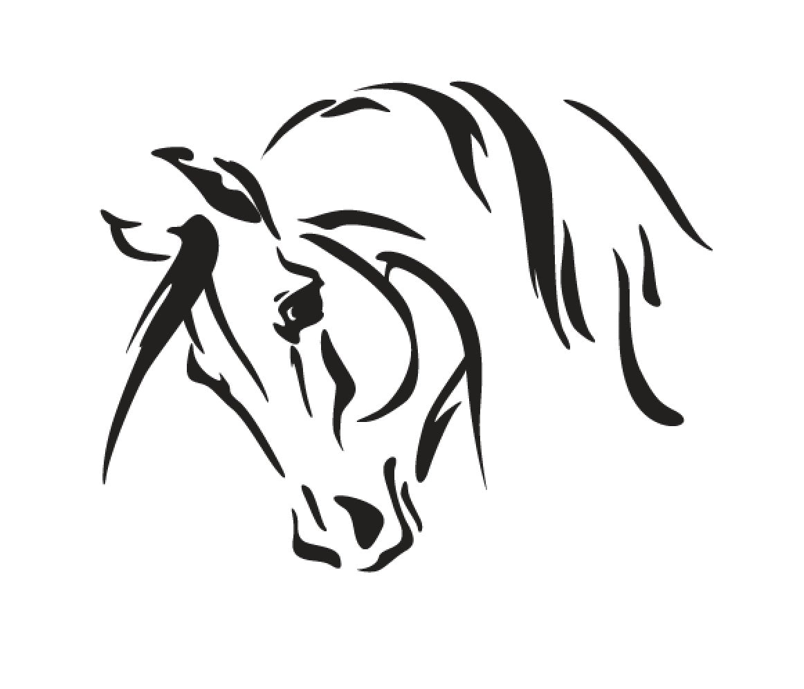 portrait cheval 4