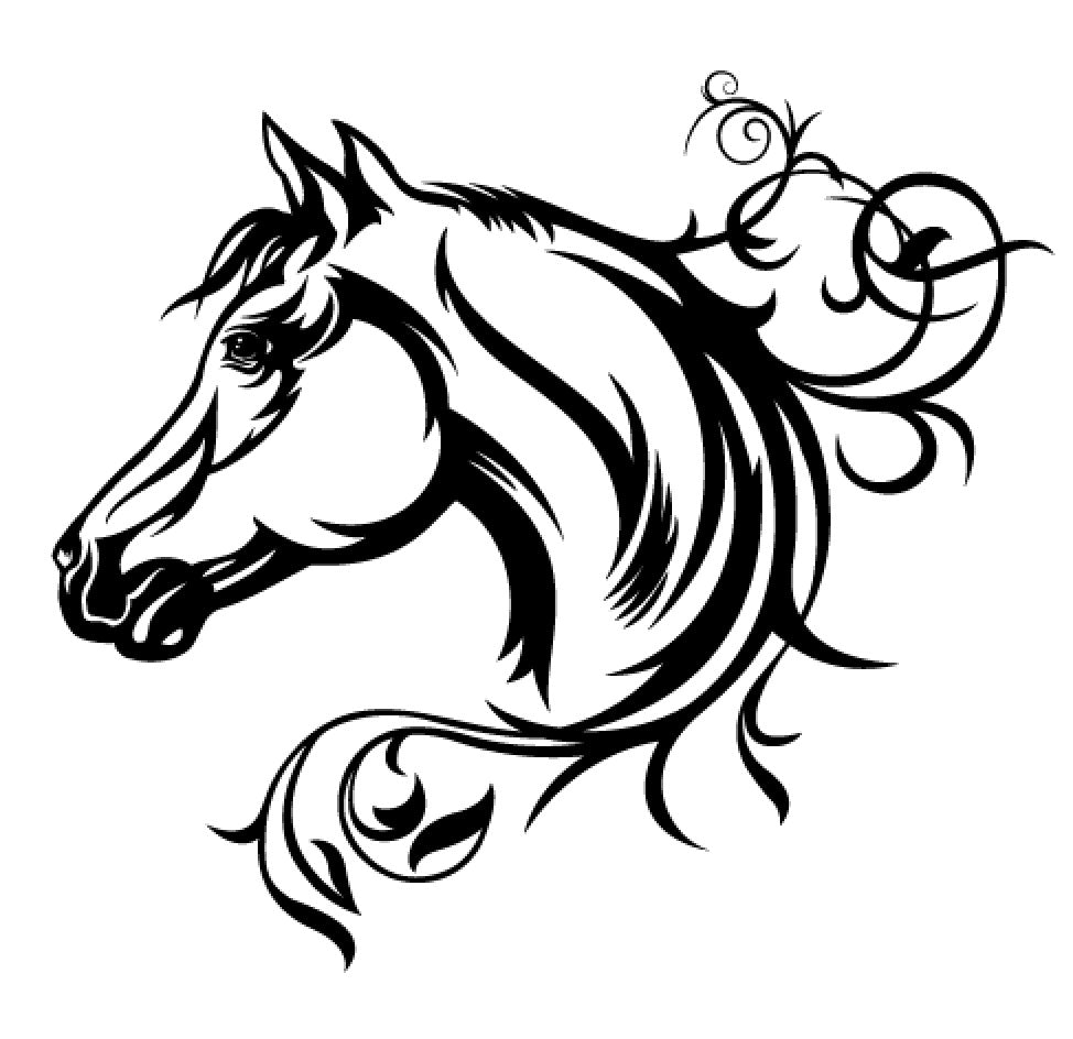 portrait cheval 6