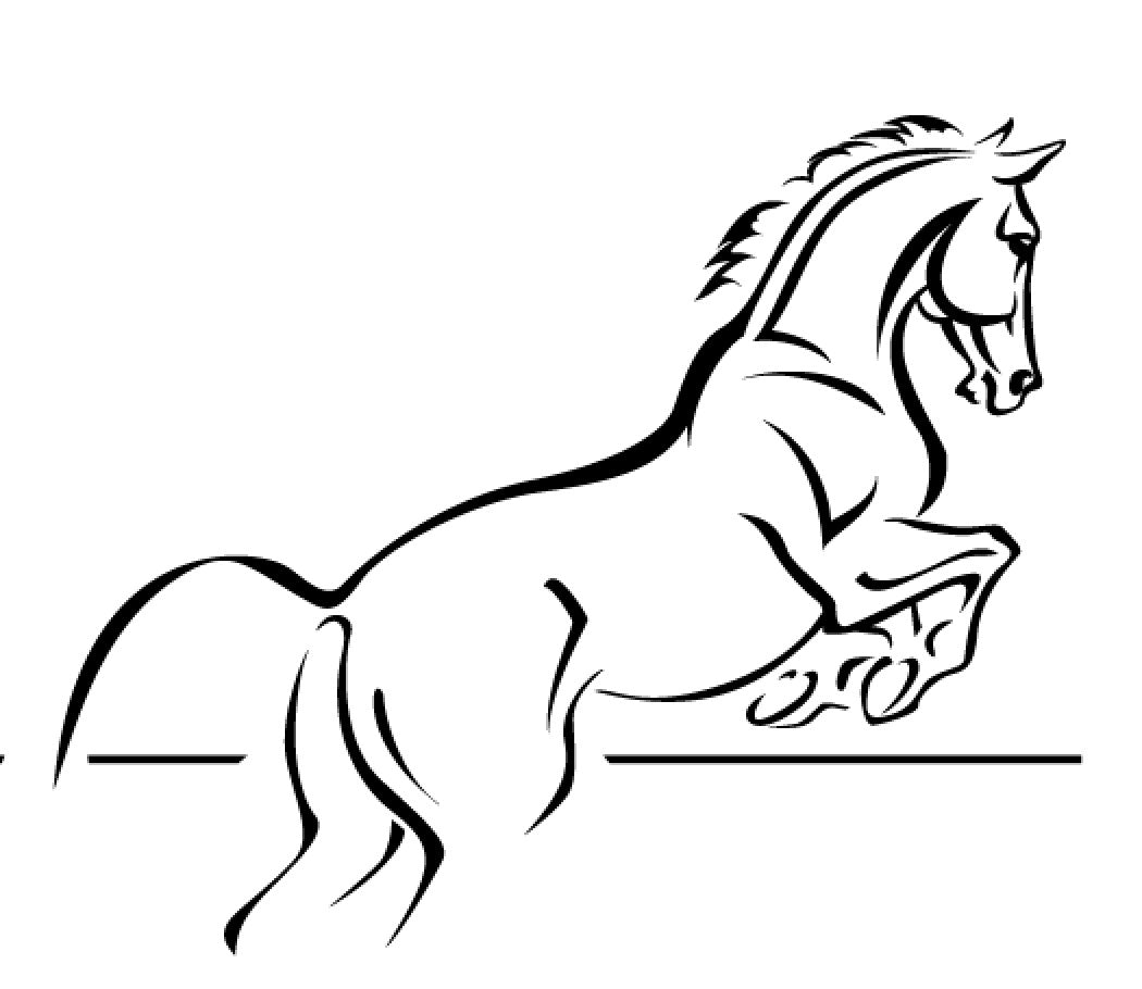 cso liberté 2