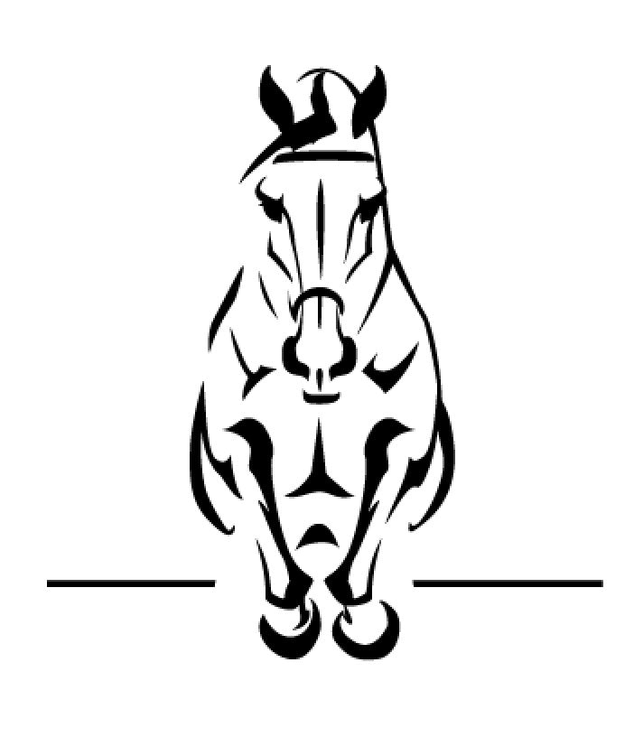 cso liberté 4