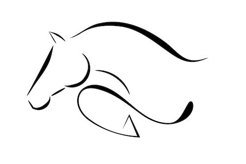cheval CSO épuré