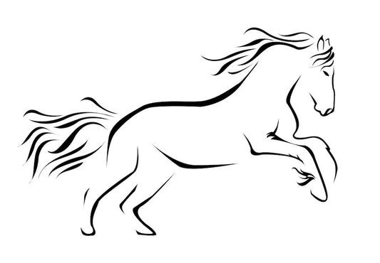 cheval au grand galop