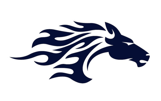 tête de cheval tribal