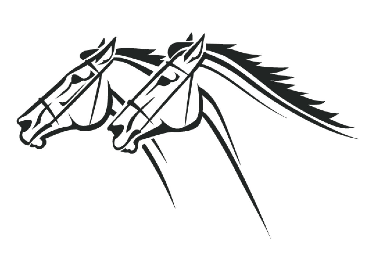 chevaux de course 10