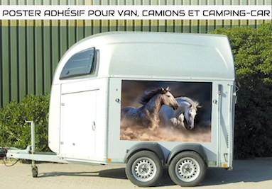 Cheval saut course jockey voiture remorque autocollant autocollant vinyle adhésif Van Fenêtre BLC